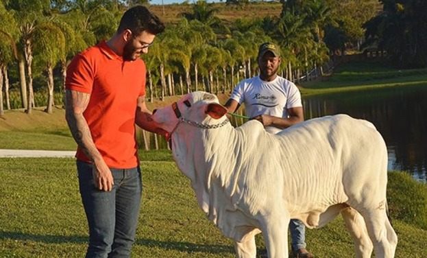 Veja os famosos que são pecuaristas e suas fazendas milionárias