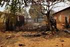 Moradores abandonam residências após incêndio em mata avançar no Piauí - Imagem 5