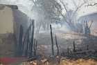 Moradores abandonam residências após incêndio em mata avançar no Piauí - Imagem 1