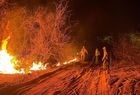 Serra da Capivara: Incêndio é controlado na região, mas novos focos surgem - Imagem 1