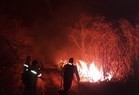 Serra da Capivara: Incêndio é controlado na região, mas novos focos surgem - Imagem 4