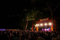 Dope Festival (1)                                        