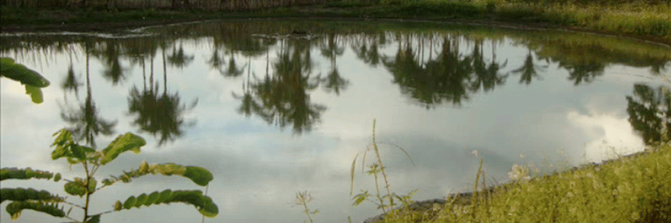 Lagoinha do Piauí