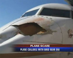 Choque com pássaro deixa buraco enorme em avião e causa susto