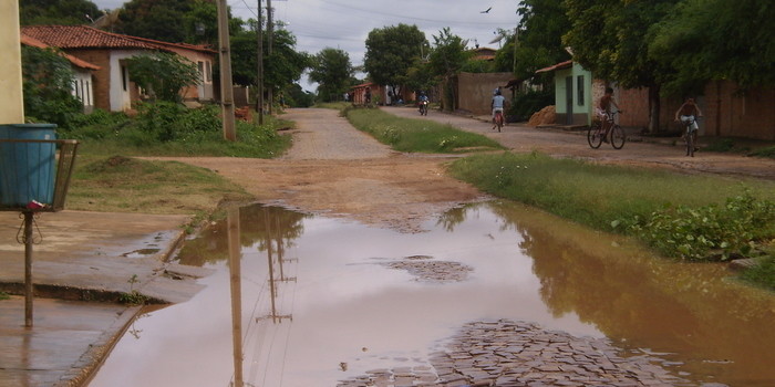 Mato e lama tomam conta do bairro Terra Nova