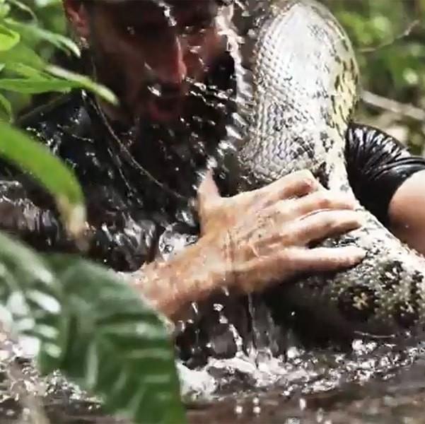 Cineasta usando roupa especial vai ser devorado vivo por sucuri em programa de TV