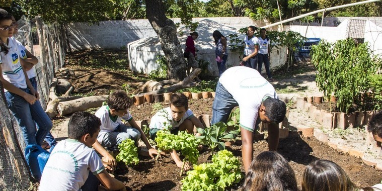 Programa Cisternas nas Escolas faz escola de Ipiranga ser referência no Nordeste