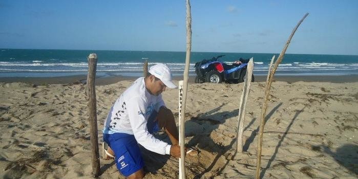 Projeto Biomade reforça o pedido de apoio para a comunidade e turistas sobre o trabalho de conservação das tartarugas marinhas, no litoral piauiense