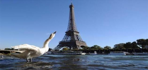 Marca registrada de Paris, Torre Eiffel completa 125 anos nesta segunda (31)