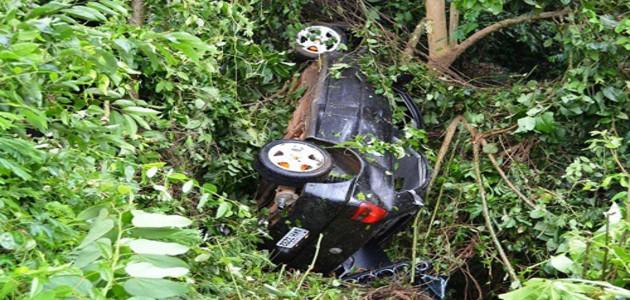Árvore evita que carro despenque em um estada com 5 adolescentes