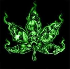 Projeto de lei prevê a liberação da maconha e anistia aos traficantes.