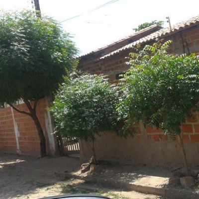 Criança de 04 anos tem arma apontada para cabeça durante assalto no interior do Piauí