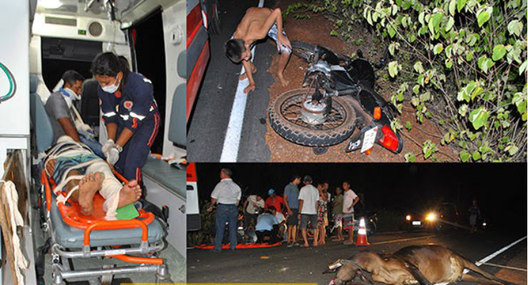 Duas pessoas ficam gravemente feridas após moto bater em animal na PI-213 em Cocal