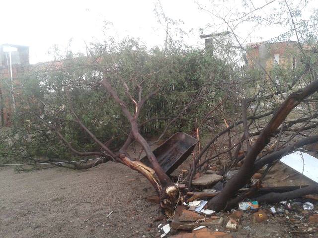 Forte chuva causa destruição e assusta população de Monsenhor Hipólito no Piauí
