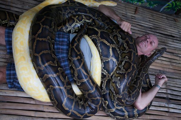 Zoológico oferece serviço de massagem a visitantes com cobra gigante