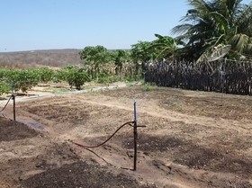Cisternas garantem cultivo no semiárido