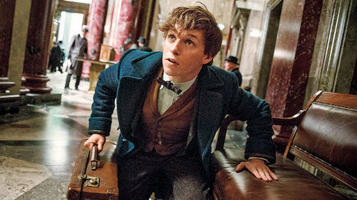 Animais Fantásticos e Onde Habitam (Fantastic Beasts and Where to Find Them, no título original) (Crédito: Divulgação)