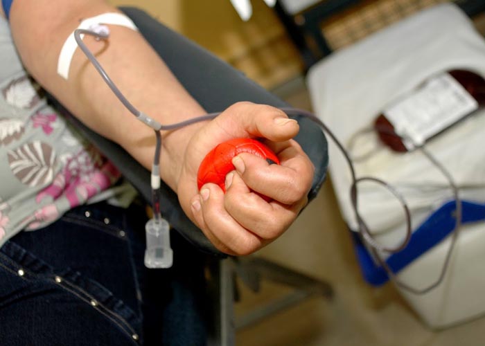 Doar sangue vai ajudar presos na redução da pena