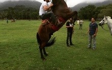 Rodrigo Lombardi treina para andar de cavalo em “Velho Chico”