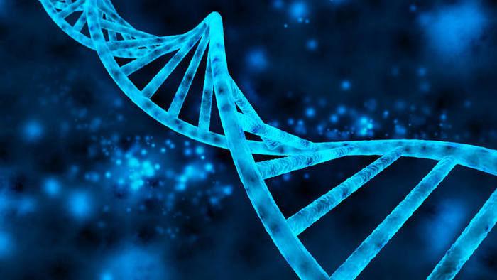 Manipulação de DNA (Crédito: Divulgação )