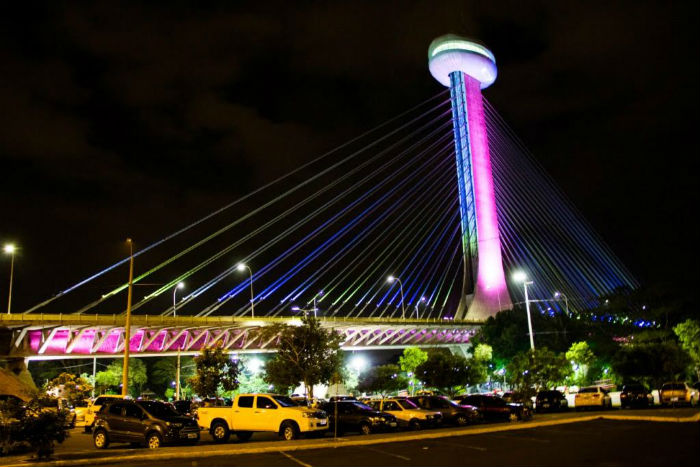 Ponte Estaiada