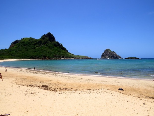 Turista é atacado por tubarão em Fernando de Noronha (Crédito: Divulgação)