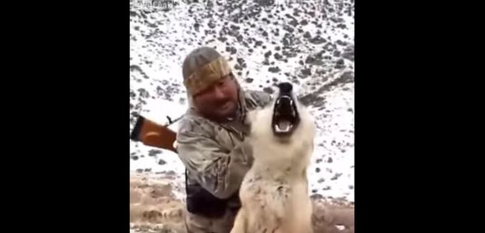 Homem segura o lobo pelas orelhas (Crédito: Reprodução)