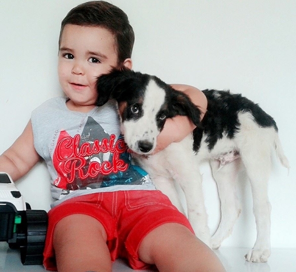 Cachorro era grande amigo do pequeno (Crédito: Reprodução)