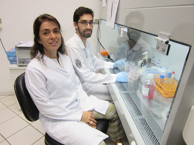 Cientistas dispensam recesso de fim de ano para estudar Zika vírus