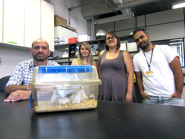 Cientistas na luta contra o Zika vírus (Crédito: Reprodução)