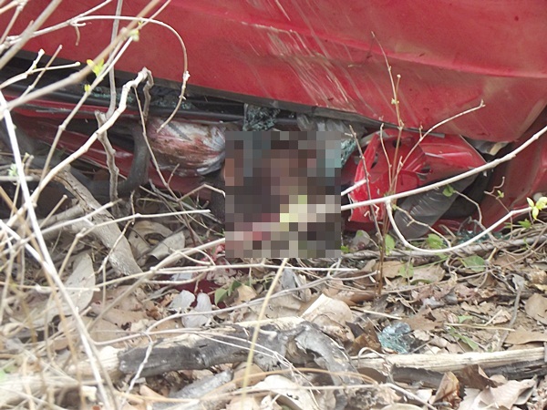 Irmãos morrem em grave acidente na BR-230