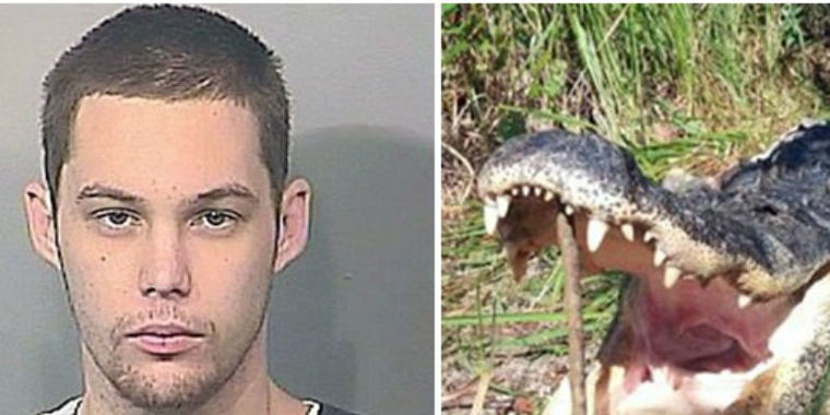Homem entra em lago para fugir da polícia e é devorado por jacaré