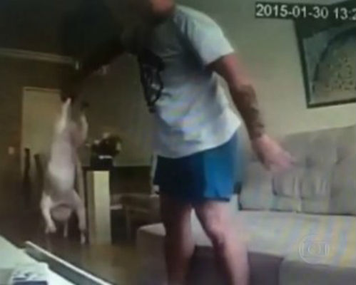 Homem flagrado agredindo cães se diz arrependido: "Ex me fez parecer um monstro"