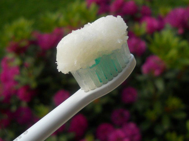 Cientistas afirmam que óleo de coco será o novo creme dental