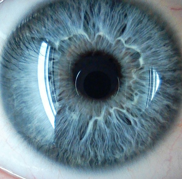 Nova cirurgia revolucionária transformará permanentemente olhos