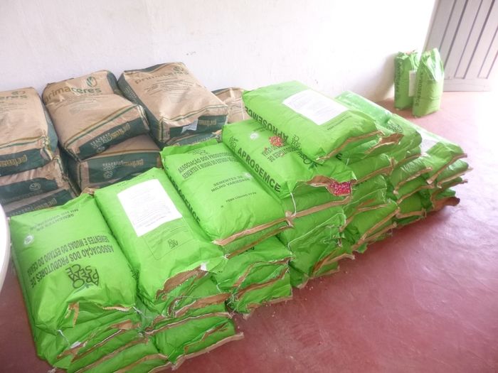 Secretaria de agricultura faz distribuicão de sementes - Imagem 2