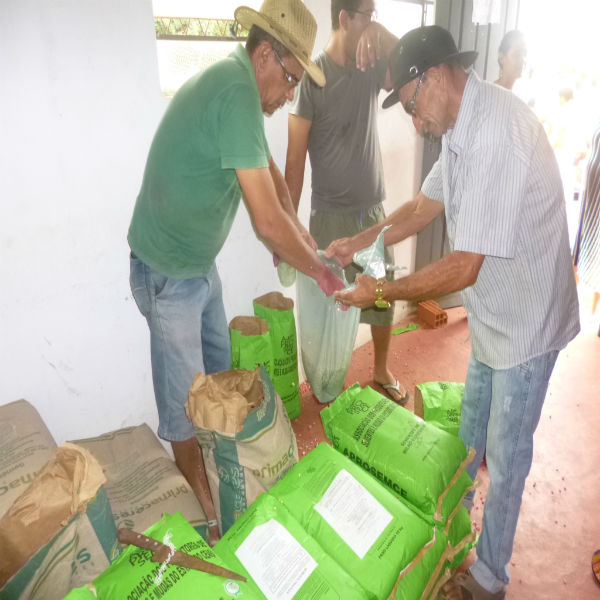 Secretaria de agricultura faz distribuicão de sementes