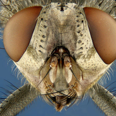 Confira as fotos mais incríveis da ciência nos últimos 10 anos