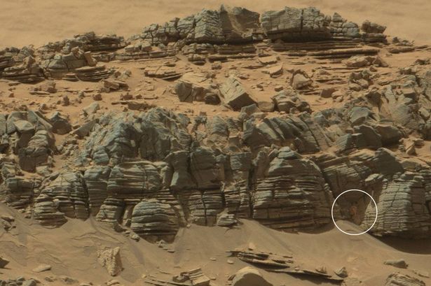 NASA divulga foto de suposto caranguejo em Marte, será alienígena?