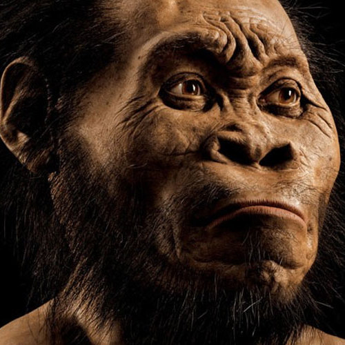 Nova espécie do gênero humano é descoberta na África do Sul
