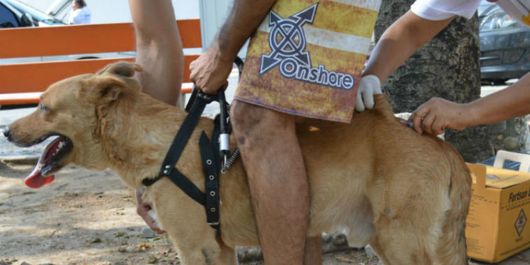 Campanha de vacina contra raiva continua na zona rural de Teresina