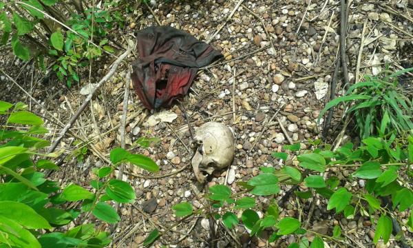 Ossada humana encontrada na zona Sul de Teresina