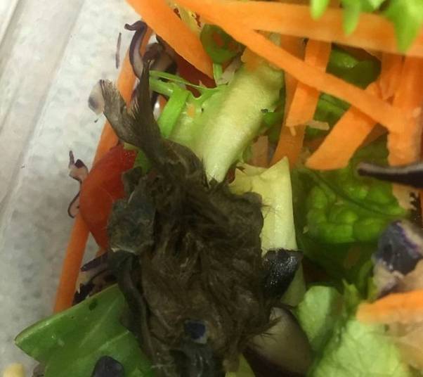 Salada (Crédito: Reprodução)