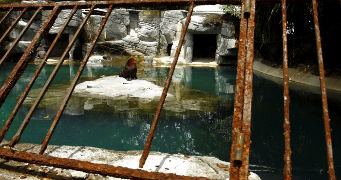 Zoológico do Rio é efchado após péssimas condições de funcionamento