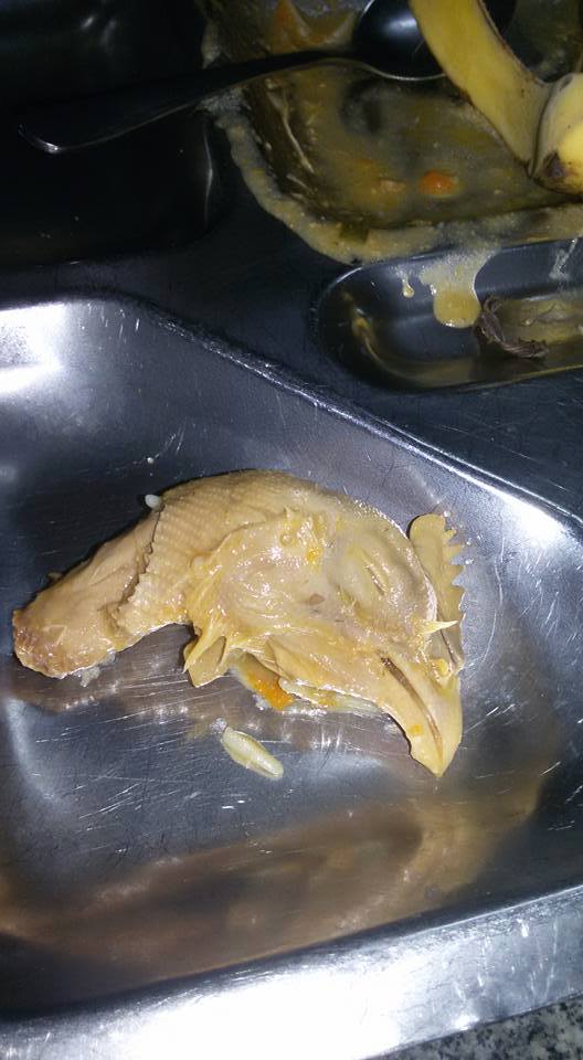 Cabeça de frango encontrada no prato (Crédito: Reprodução/Facebook)