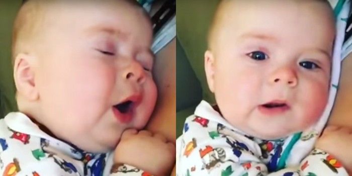 Vídeo fofo repercutiu na internet (Crédito: Reprodução)