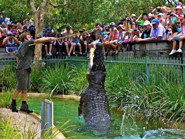 Atração em parque na Austrália