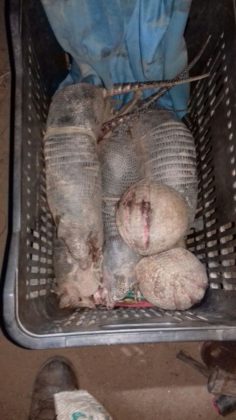 Caças foram apreendidas