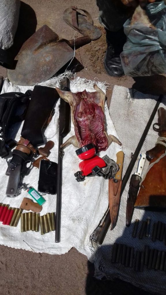 Caças, armas e munições foram apreendidas