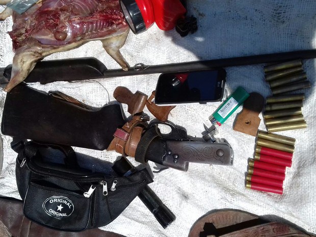 Armas e animais apreendidos (Crédito: Divulgação)